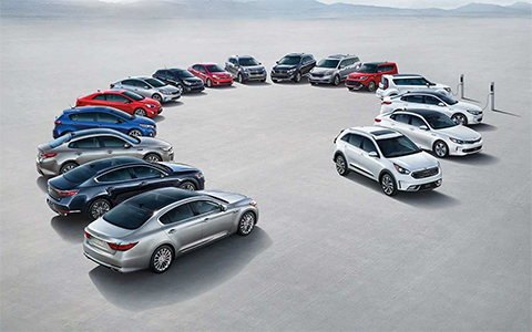 AutoPoint